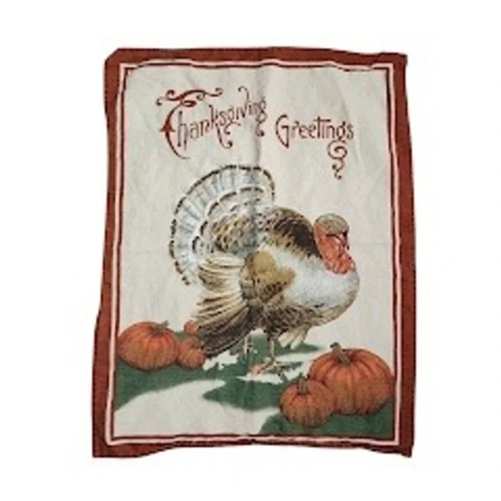 WILLIAMS SONOMA Thanksgiving Greetings Turkey‎ Towels Set of 2 Made in Italy
